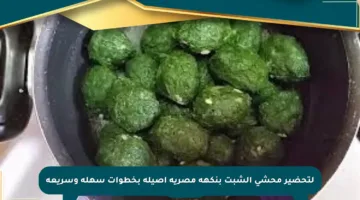 لتحضير محشي الشبت بنكهة مصرية أصيلة بخطوات سهلة وسريعة